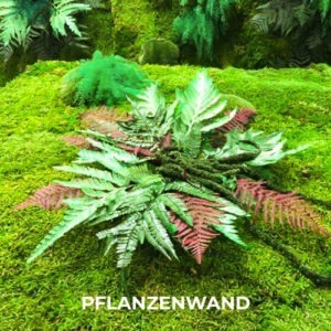 pflanzenwand